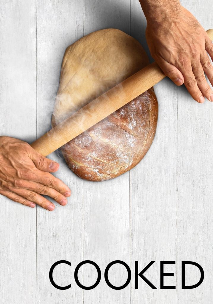 دانلود سریال Cooked دوبله فارسی