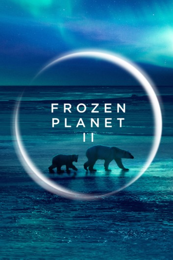 دانلود سریال Frozen Planet II دوبله فارسی