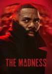 دانلود سریال The Madness دوبله فارسی